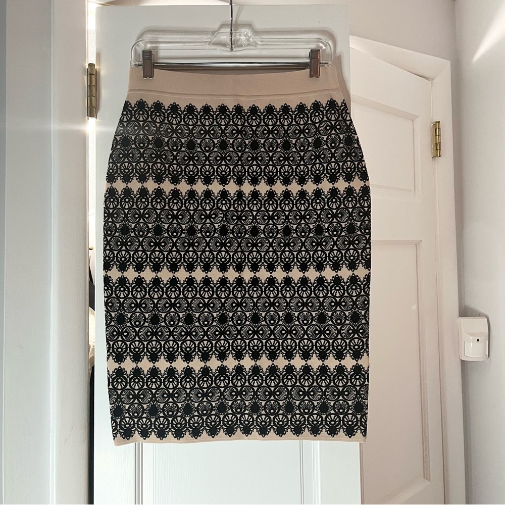 🖤 Alexander McQueen Designer Black and Pale Pink Pencil Skirt